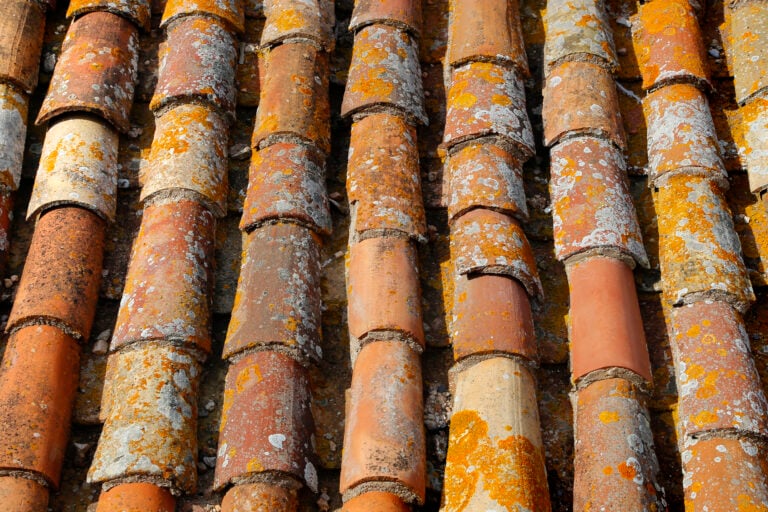 Close-up of old terracotta roof tiles covered in patches of yellow and orange lichen, showing the texture and natural weathering of the materials.